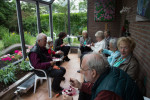 Desert in de serre